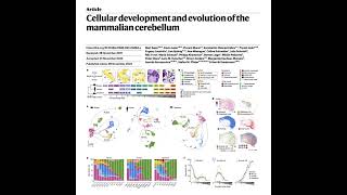 Download Lagu 636-Evolution and Development of the Mammalian Cerebellum