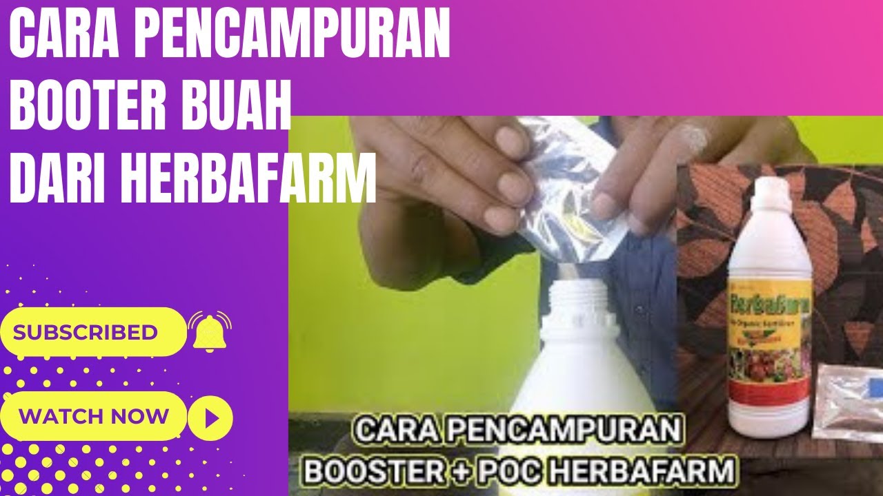 Cara Menggunakan Booster untuk Tanaman Tanaman fase vegetatif & fase generatif