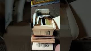 #badkitty #narna #dog man