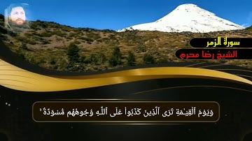 تلاوة لن تسمع مثلها من سورة الزمر الشيخ رضا محرم