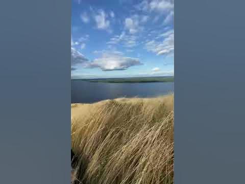 Птичий полет - YouTube