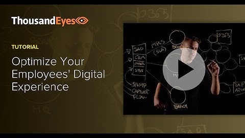 Optimize Your Employee