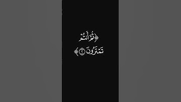 (يعلم سركم) #قرآن #سورة_الأنعام #عبدالرحمن_ريس #ليدّبّروا_آياته #راحة_نفسية #شاشه_سوداء #quran