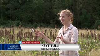 Iqlimdagi o'zgarishlar va bugungi hosil