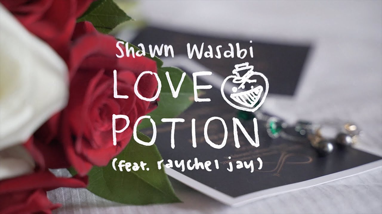 Shawn Wasabi Love Potion Lyric Video x Wedding Montage YouTube