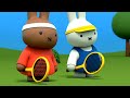 Miffy joue au tennis  les petites et grandes aventures de miffy  dessins anims pour enfants