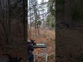 300 BLACK OUT Plinking #shorts #shortsfeed #yt