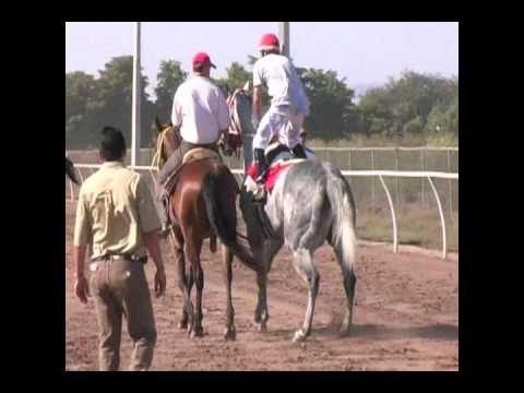 AQUILES VS PERIQUEO VS LUNATICO