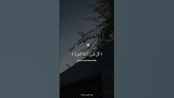 { كل نفس ذائقة الموت }سورة العنكبوت ||القارئ عبد الرحمن مسعد🤍