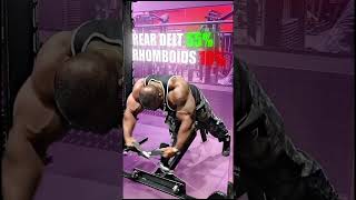 Rear Delt Cable Exercise