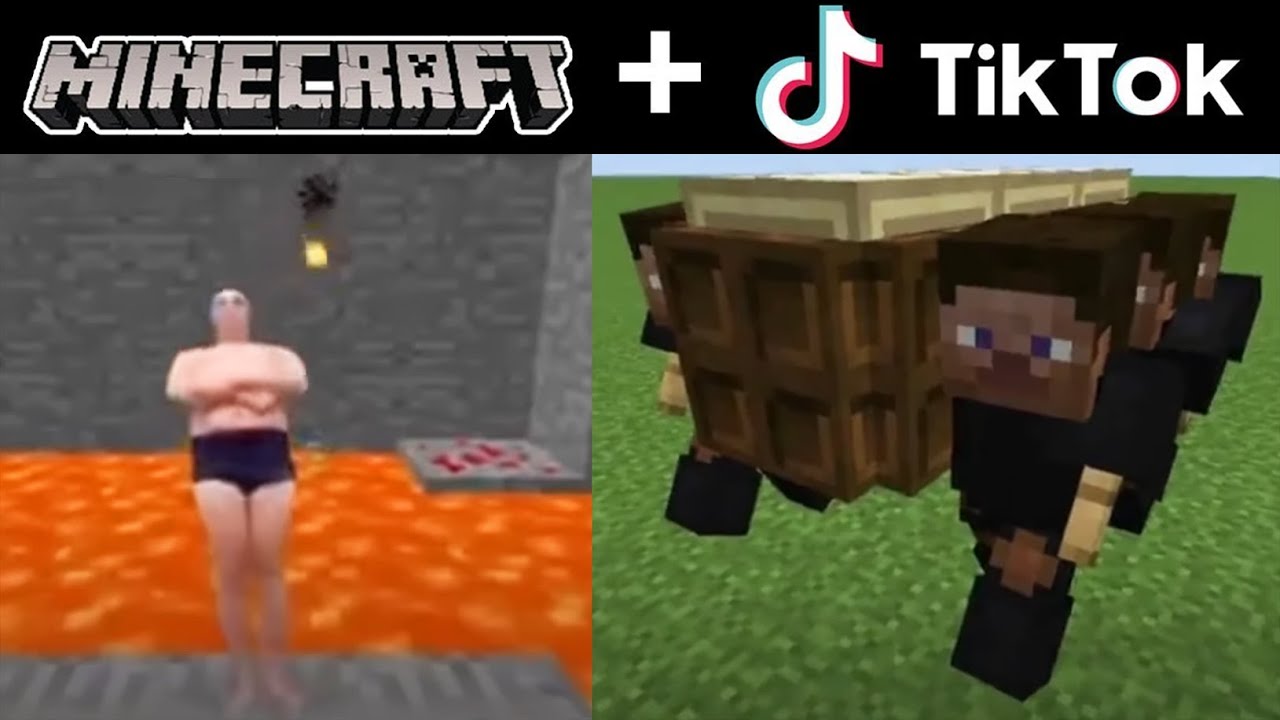 meme em imagem de minecraft｜Pesquisa do TikTok