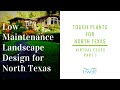 Tough Plants for North Texas Part 1: Low Maintenance Landscape Design