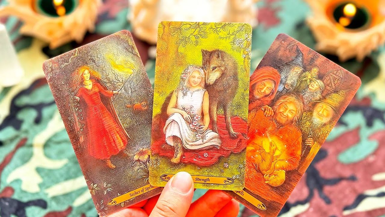 فال تاروت مرلین - پیغام ارواح حیوانی  دک جنگل افسون