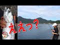 GO!GO!九ちゃんフィッシング #658 「最新カゴ釣り! &必釣ハギング! 堤防青物&ビッグカワハギ」