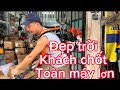 Máy phát cỏ.Kavi hus ThaiLan hôm nay được mùa tet máy.tét xong đóng gói lên đường làm nhiệm vụ.