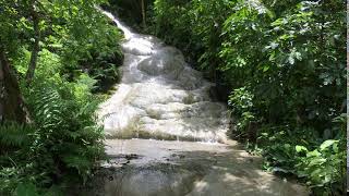 Bua Tong Waterfall Aka Sticky Falls, Chiang Mai, Thailand