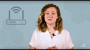 What is a Router and What Does it Do?