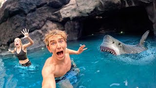 Shark Attack Ruined our Dream Vacation!!