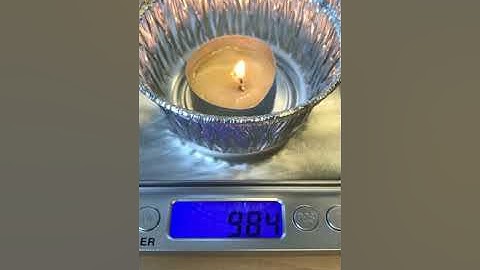 Duck Fat Burning on a Scale - 7.3 Metabolic Reactions Lesson 10 Video 3