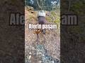 #doberman #dobermantraining #dogtraining #doberman_dog