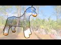 Life Size Clear Horse from Horseplay Toys Inflation