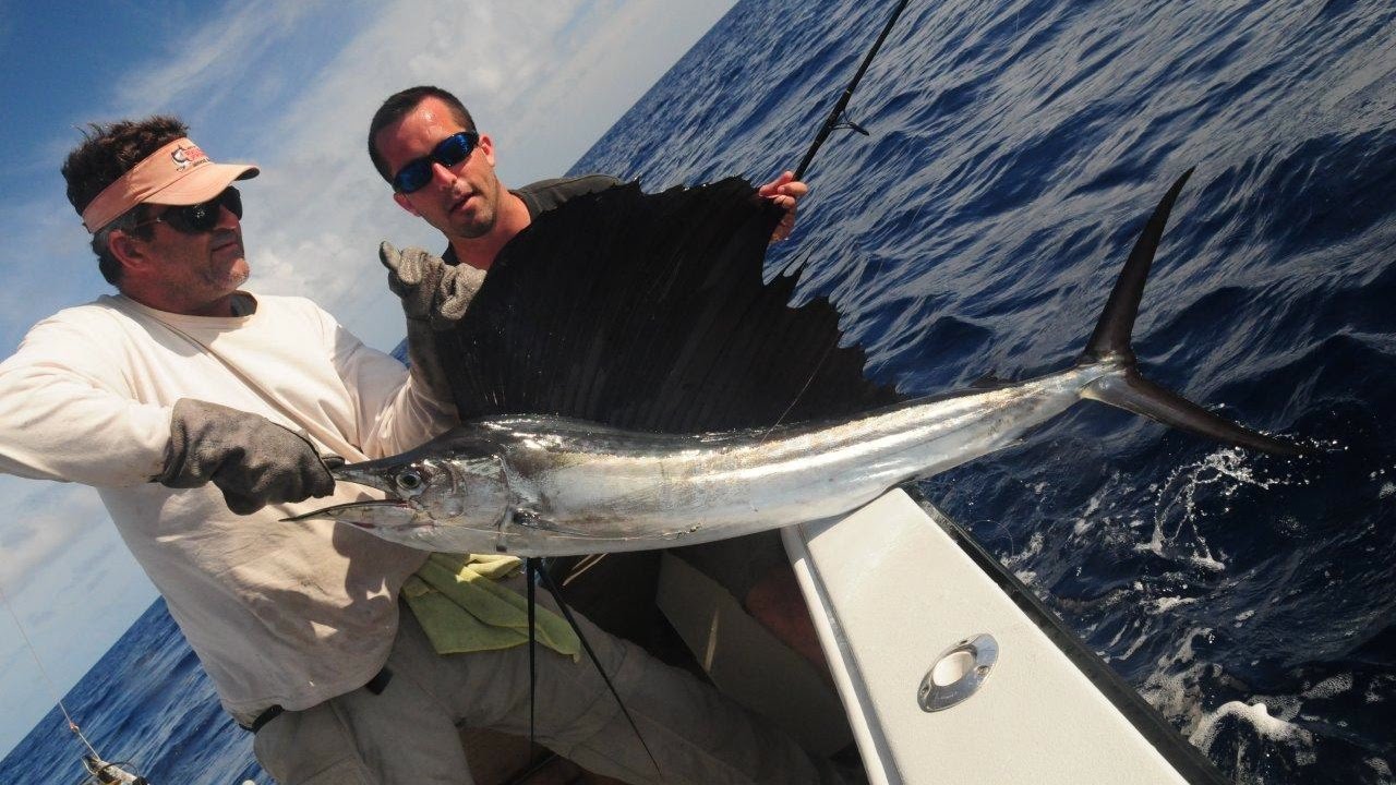 Sailfish sport fishing Islamorada Fishing Charters Florida Keys 001 720