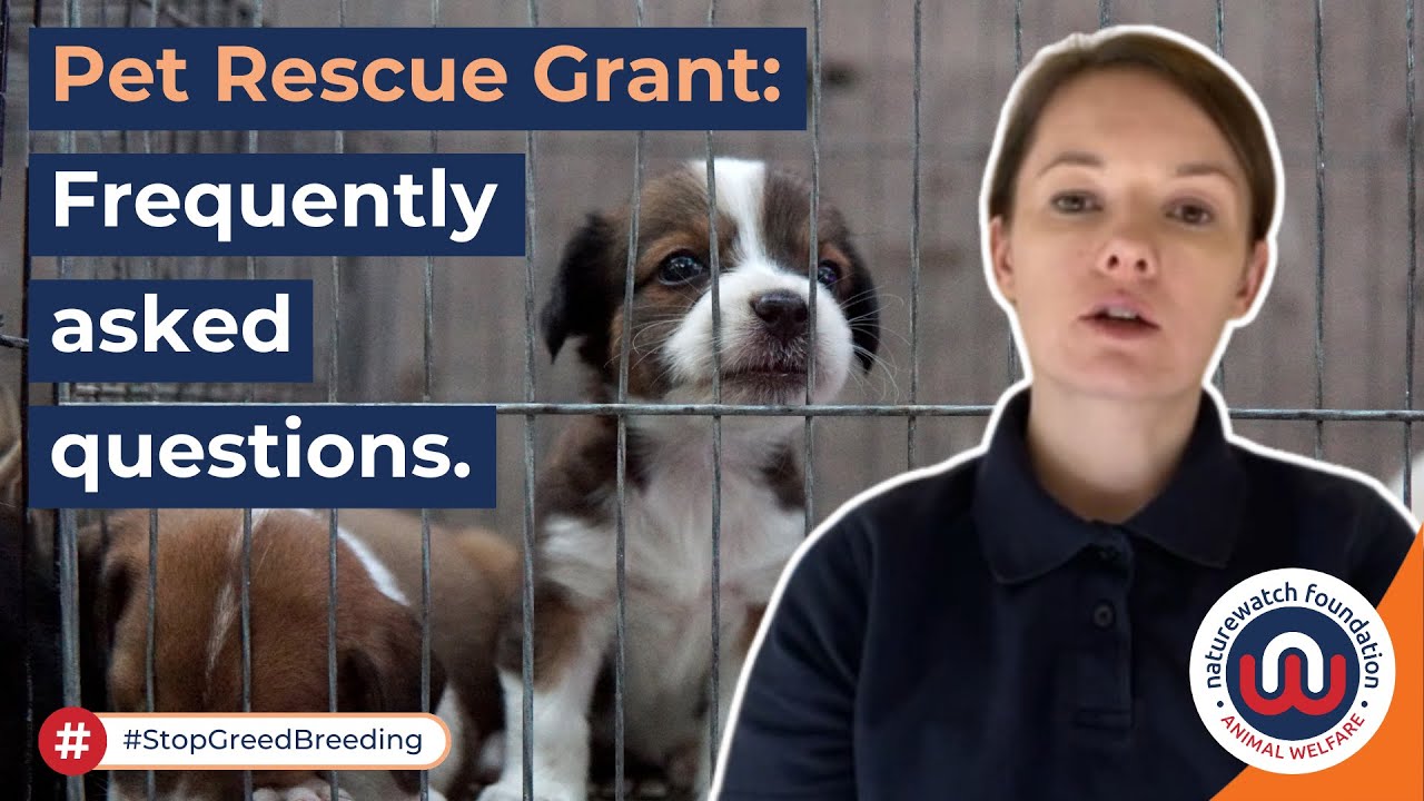 Naturewatch Foundation Pet Rescue Grant FAQs 2026