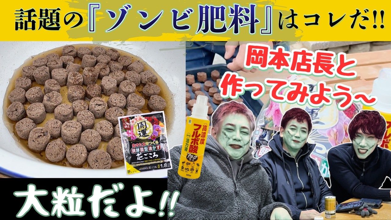 話題の「ゾンビ肥料」岡本店長と作ってみよう