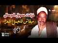 نزلت سوق الجمال مبقاش للجمل سعر محمد اليمني 