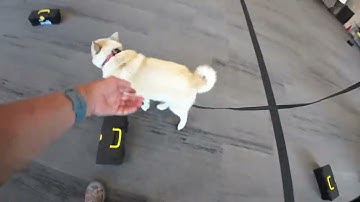 NACSW NW3 container search