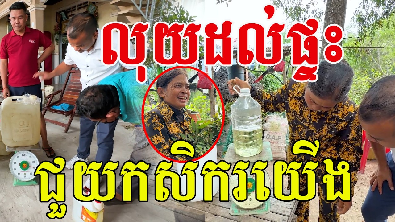 លុយដល់ផ្ទះ​ ជួយកសិករយេីង​ ស្នាមញញឹមពេញភូមិ