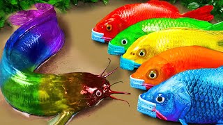 STOP MOTION COOK ASMR | Colorful Koi Fish Transforms Crocodiles Hunting Skateboard Koi Fish Video by Animal Stop Motion Cooking 424,783 views 9 months ago 8 minutes, 22 seconds