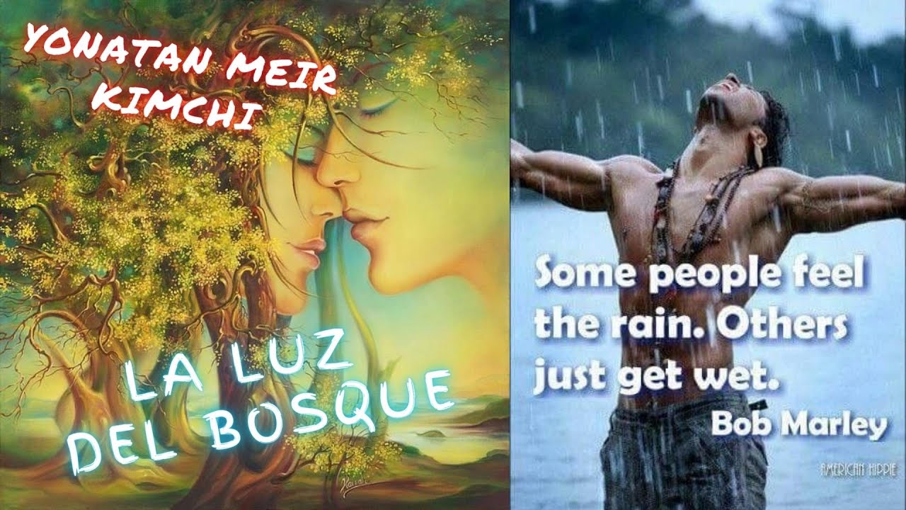 La luz del bosque by Yonatan Meir Kimchi ( cover of Bachan Kaur)