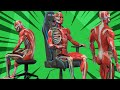 Ergonomics 101 how gaming chairs support good back health