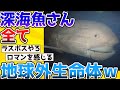 【2ch動物スレ】「深海魚」さん、どいつもこいつも意味わからな過ぎて地球外生命体だと話題に・・・→もはや恐竜よりもロマンがあるのでは?【生き物】