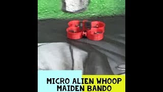 First bando micro Alien whoop mod