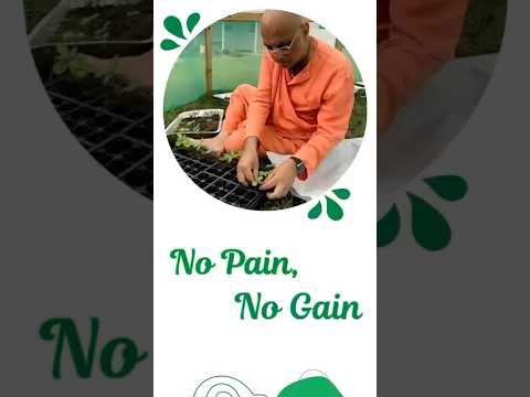 #bhakticharuswami #bcs #nopainnogain #krishnaconsciousness