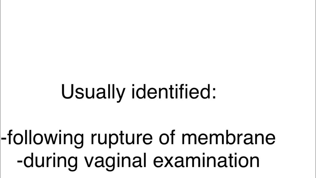 Cord prolapse management YouTube