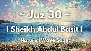 Juz 30 (Amma) | Sheikh Abdul Basit | Soft Birds & Nature Ambience screenshot 5