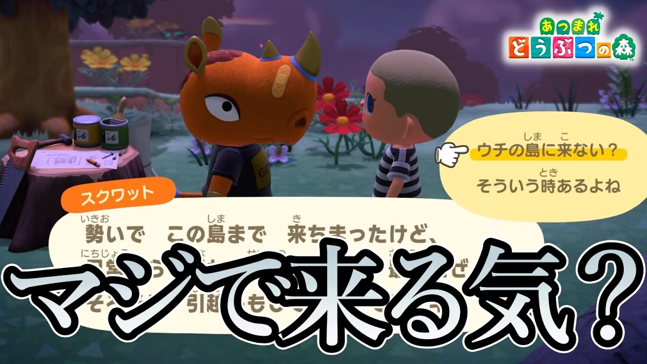 【あつ森】ついにこのゲームに手を出す一級建築士【#あつまれどうぶつの森 / #一級建築士 / #16】