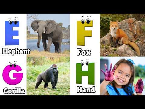 A for Apple Song | Phonics for Kids | ABC Song for Kids | Alphabet Letters