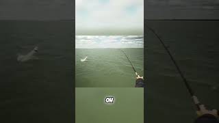 The Northwest Territories Post-Spawn Pike Pattern
Shelves like this held just about every fish we caught during last Saturdays episode. When the water is cold, you dont need deep water to catch BIG fish... The Northwest Territories Post-Spawn Pike Pattern