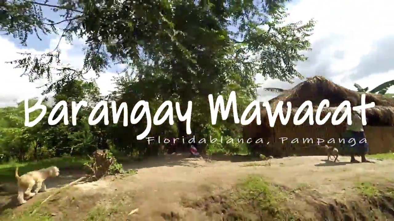 The Happy Project: Brgy. Mawacat, Floridablanca Pampanga