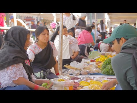 UNORCAC / Muyu Raymi 2019 - ANTA music