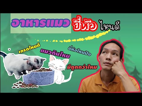 วีดีโอ: SuperZoo 2018: Dogtra เปิดตัวเครื่องลูกใหม่