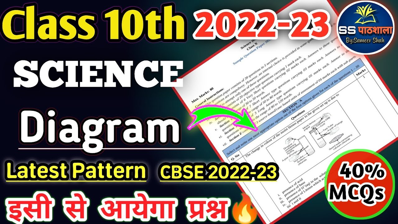 Science Important Ncert Diagram Class 10 Science Sample Paper 2022 science-important-ncert-diagram-class-10-science-sample-paper-2022