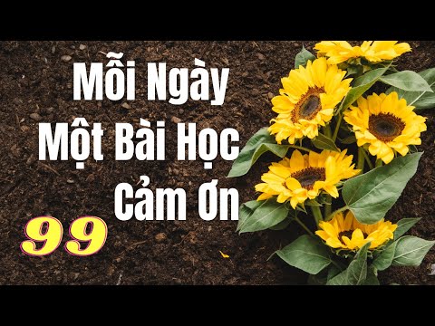 #99- Mỗi ngày một bài học cảm ơn - Thanh Ly & Bảo Phúc || Đọc: Huỳnh Minh Hiền