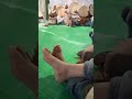 الله الله شيخي ولي الله