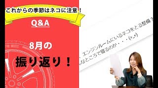 【整備士向け】「8月の振り返り！」【メカニックTV】