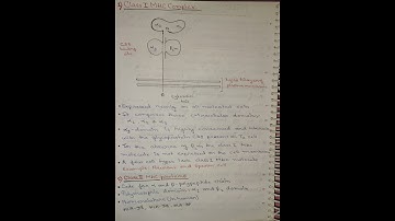 MHC COMPLEX #3rdsemester #immunology #universityexam